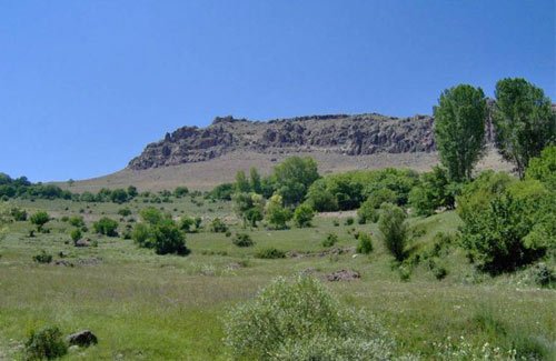 Kenzek Bal Gerçek Bal - Doğu Anadolu Yöresinde üretilen ...