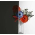 Solux Mikado ÇİZİLMEZ 75 cm en X 6 Metre Boy Açık Siyah Cam Filmi 55a023